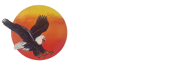 A bald eagle with outstretched wings is flying in front of an orange and yellow sunset circle, with blank horizontal lines extending to the right.