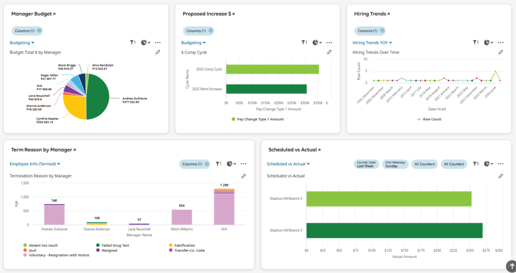 A dashboard with five charts showing manager budgets, proposed increases, hiring trends, termination reasons, and scheduled vs. actual work, using pie, bar, and line graphs with color-coded legends.